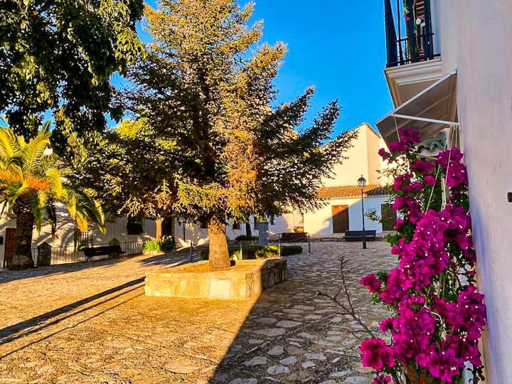 Grazalema - Casita La Calma - Incredible Views, Clima Frio-Calor, Wifi & Private Parking Optional Villa ภายนอก รูปภาพ